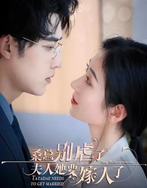 条目封面图，剧集追更节奏示意